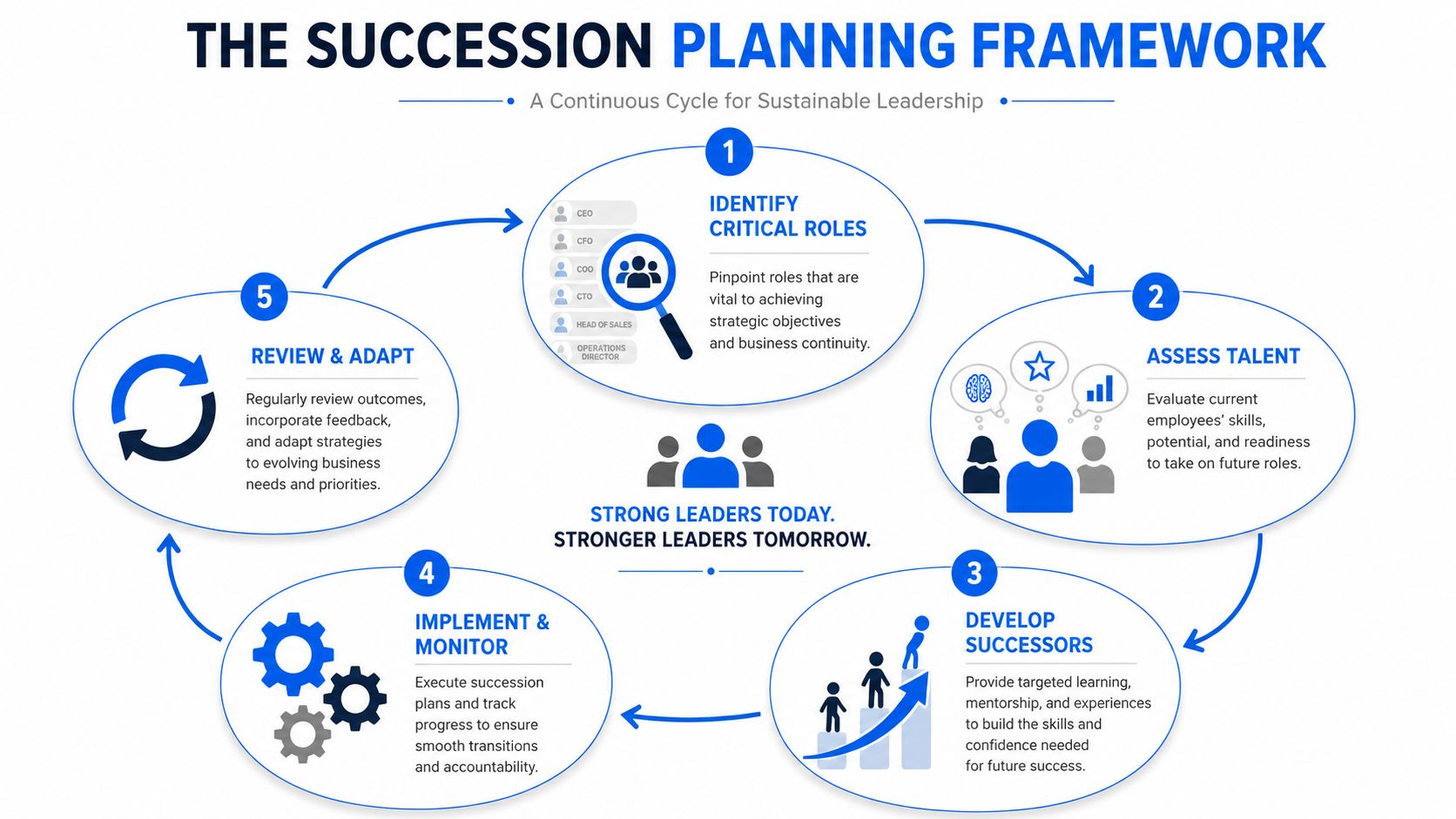 A diagram illustrating the five-step succession planning framework for sustainable leadership in a business environment.